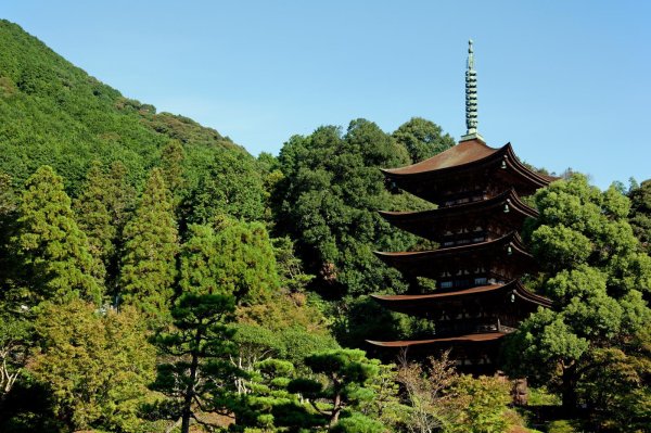 画像3: 瑠璃KOU　5ml　檜皮セット (3)