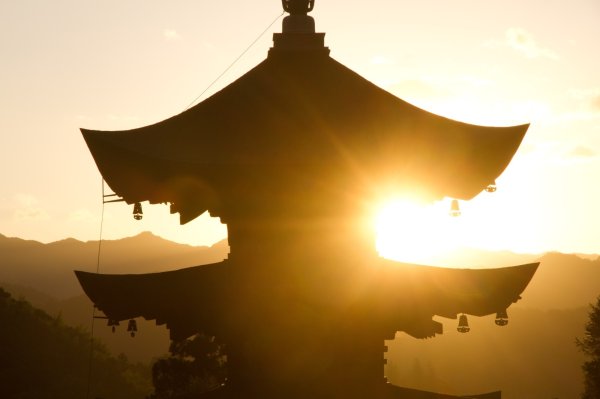 画像2: 瑠璃KOU　5ml　檜皮セット (2)